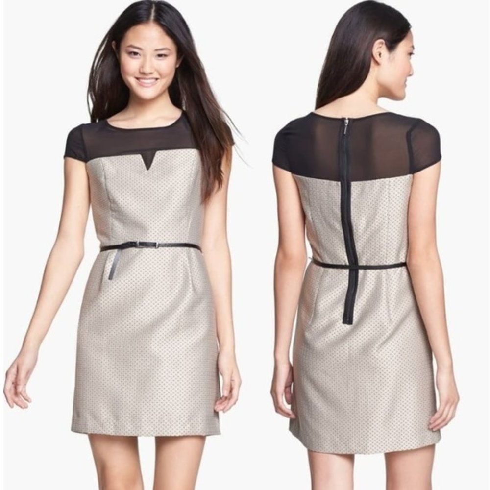 Kensie Gold Pin Dot Print Dress w/Black Sheer Top